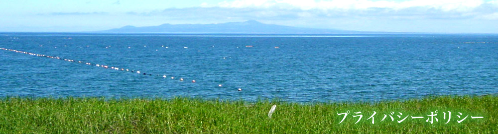 プライバシーポリシー