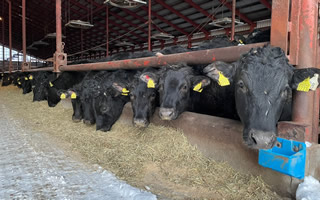 有限会社羽田野第二牧場様03