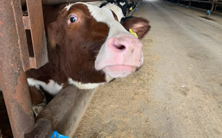 有限会社羽田野第二牧場様05