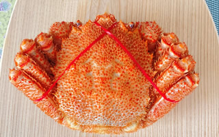 有限会社丸二永光水産様04