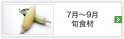 7月～9月旬食材