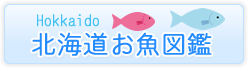 北海道お魚図鑑