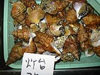 つぶ貝