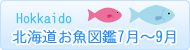 北海道お魚図鑑7月～9月