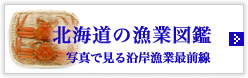 北海道の漁業図鑑